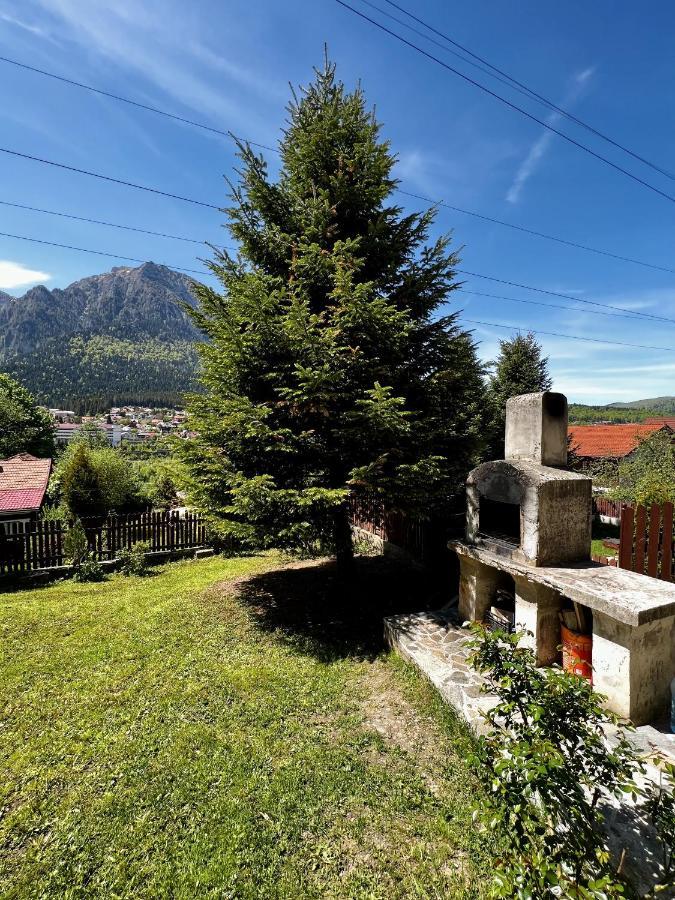 The Bear House 2 Villa Busteni Exterior photo